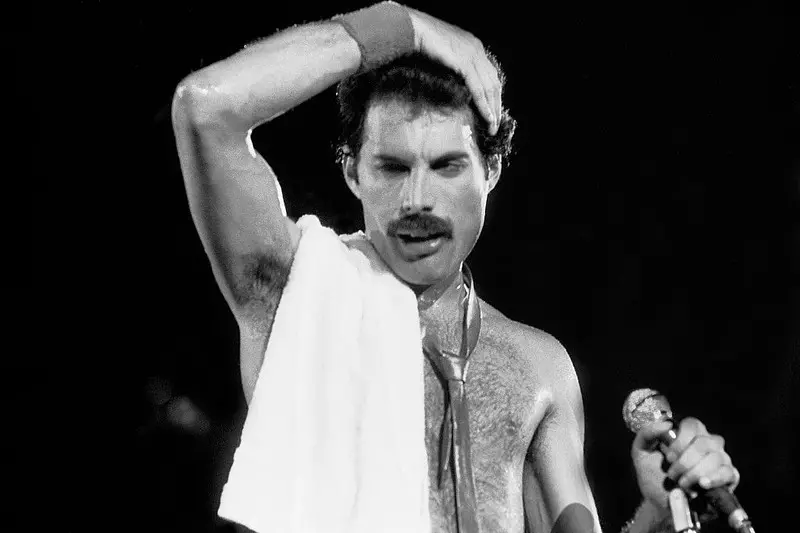 Niepublikowane zdjęcia Davida Bowiego i Freddiego Mercury’ego w internecie!