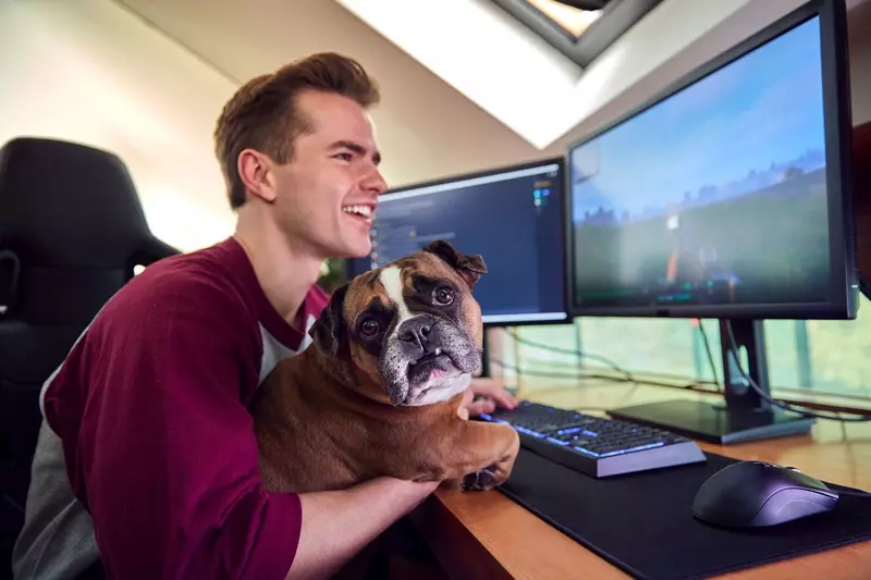 Startup z Hongkongu opracował "zdrowotne" gry wideo dla psów