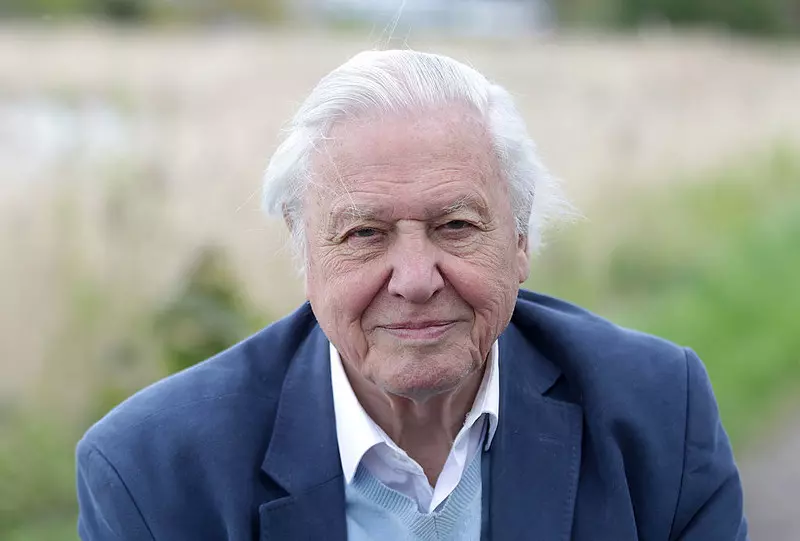 Sir David Attenborough po raz pierwszy zrealizował program o rodzimej przyrodzie