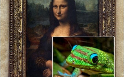 Gekony pomogą ochronić Mona Lisę