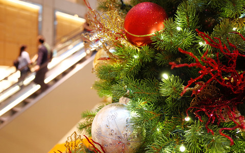  Bożonarodzeniowa choinka - symbol rajskiego drzewa 