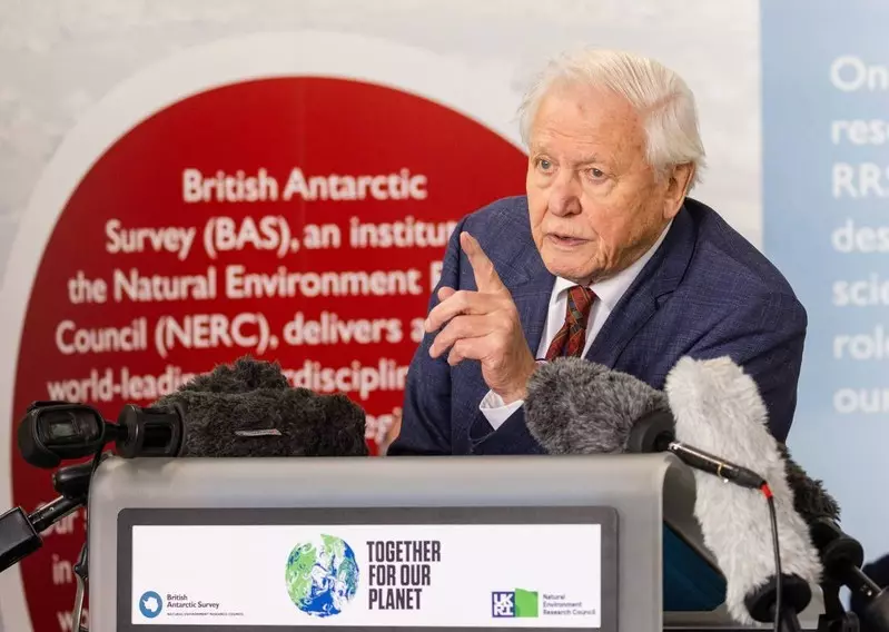 97-letni David Attenborough wróci jesienią z 3. sezonem "Planety Ziemia"