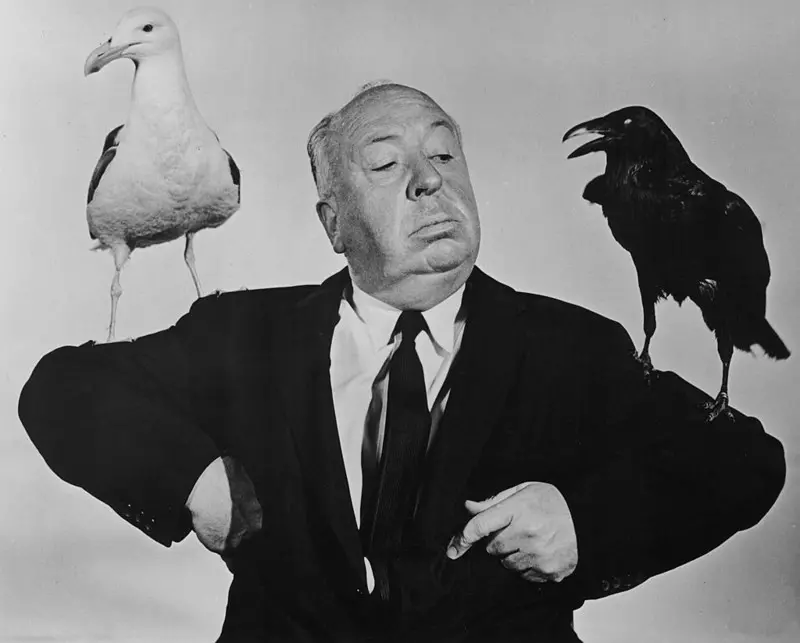 "Ptaki" Hitchcocka filmem, w którym widzowie mogą znaleźć najwięcej błędów