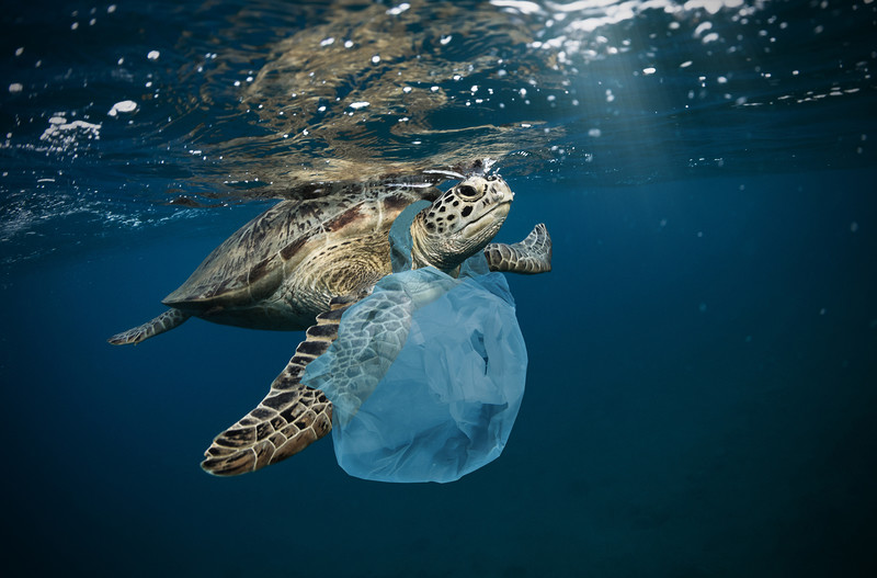 Oceany są pełne plastiku. Naukowcy biją na alarm