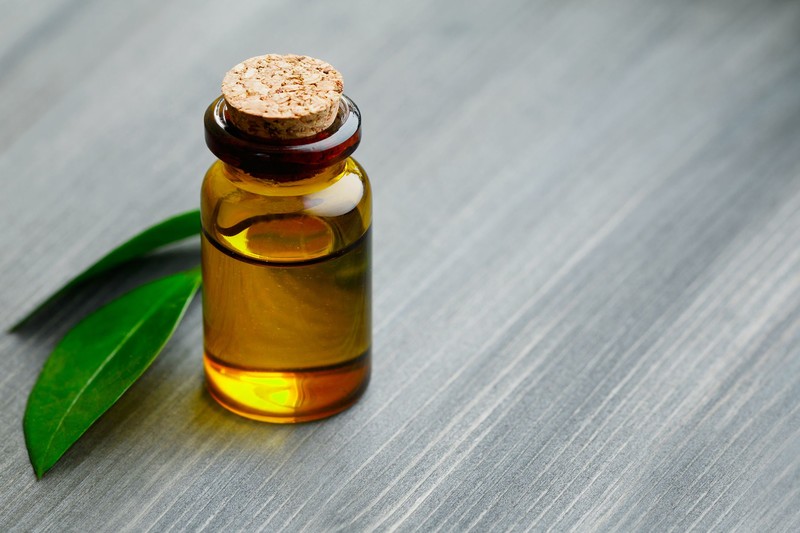 TikTokerki twierdzą, że olej tamanu to remedium na blizny po trądziku