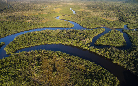 Amazonka ma co najmniej 9 milionów lat