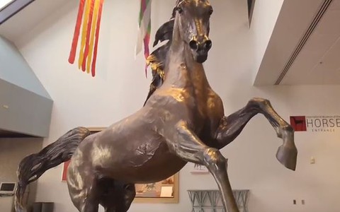 Najsłynniejszy koń arabski świata pochodził z Polski