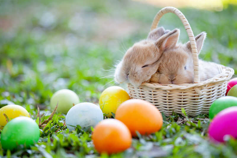 Wielkanoc, Easter, Ostern...