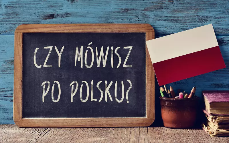 Większa mniejszość: Ochrona języka polskiego dla nowego pokolenia Irlandczyków