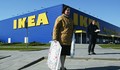 Władca lasów: IKEA i dewastacja przyrody [DOKUMENT]