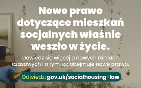 Miliony lokatorów zabezpieczone przed skutkami działania grzyba dzięki nowemu prawu Awaaba