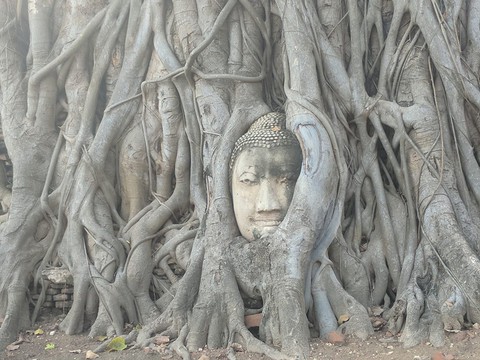 Ayutthaya - historyczna perła Tajlandii zaledwie 80 km od Bangkoku