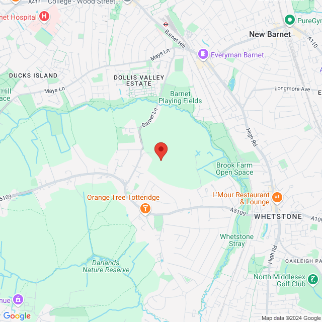 Londyn, N20
